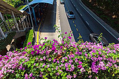 《歧路旅人2》正式登陆Switch和PlayStation Steam版明天解锁